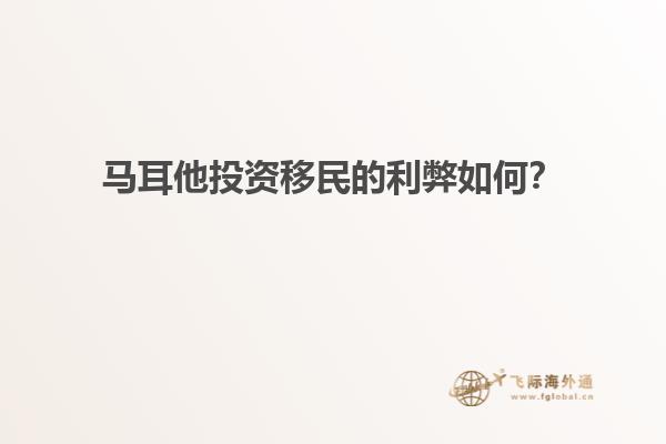马耳他投资移民的利弊如何？