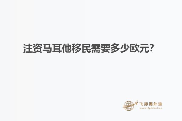 注资马耳他移民需要多少欧元？