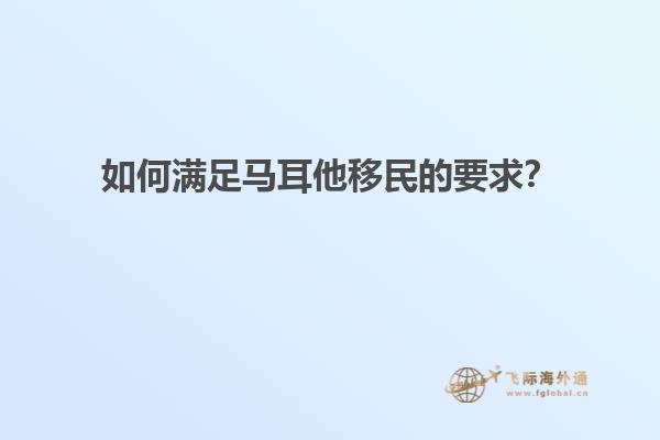 如何满足马耳他移民的要求？