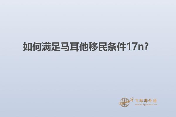 如何满足马耳他移民条件17n？