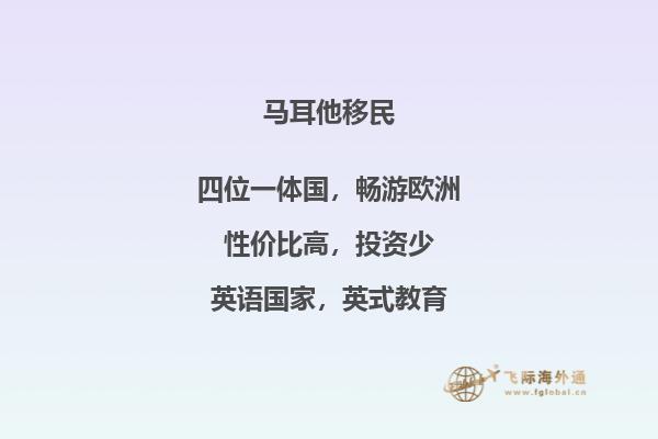 如何满足马耳他移民条件17n？
