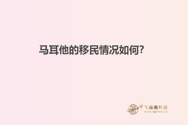 马耳他的移民情况如何？