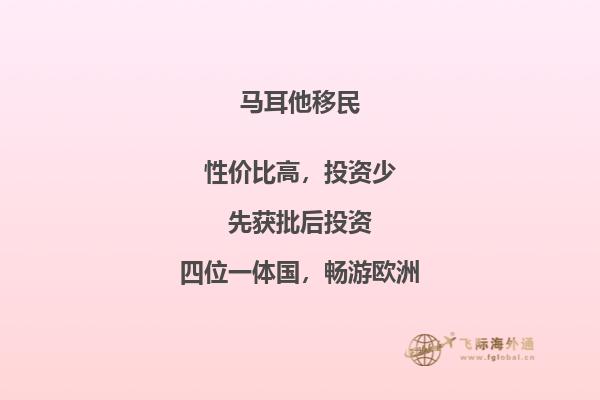 寻求马耳他移民咨询服务