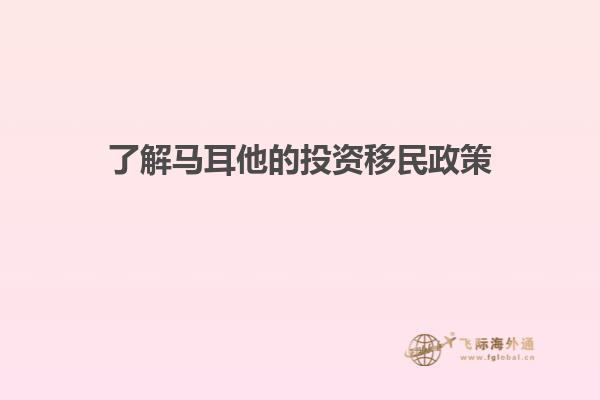 了解马耳他的投资移民政策