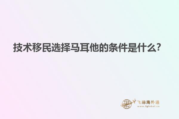 技术移民选择马耳他的条件是什么？