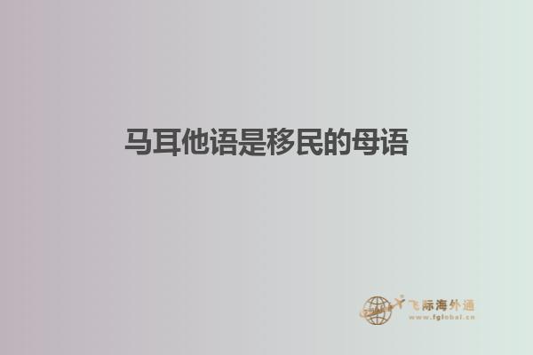 马耳他语是移民的母语
