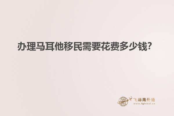 办理马耳他移民需要花费多少钱？