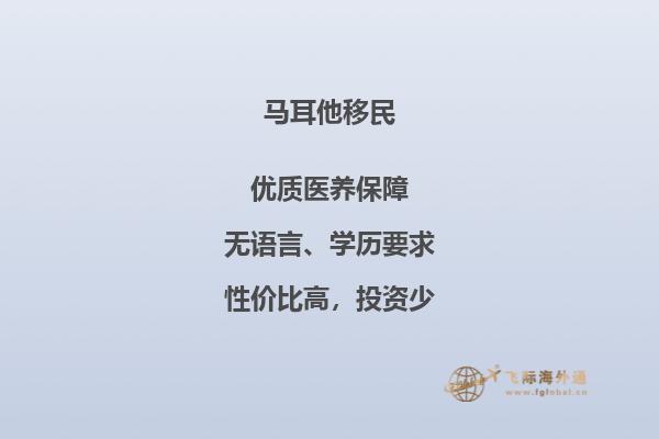办理马耳他移民需要花费多少钱？