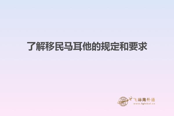了解移民马耳他的规定和要求