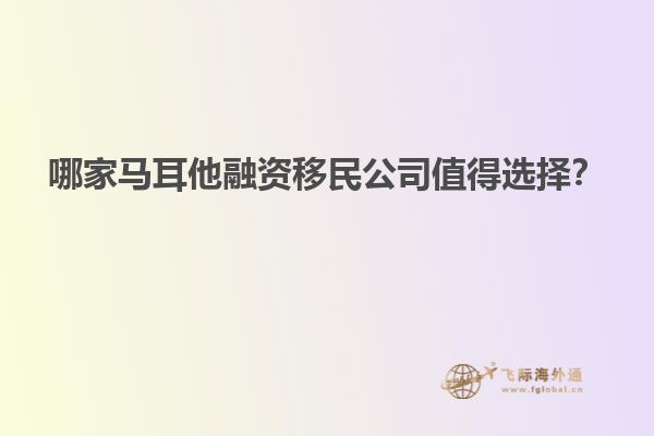 哪家马耳他融资移民公司值得选择？