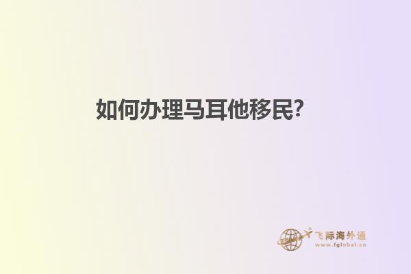 如何办理马耳他移民？