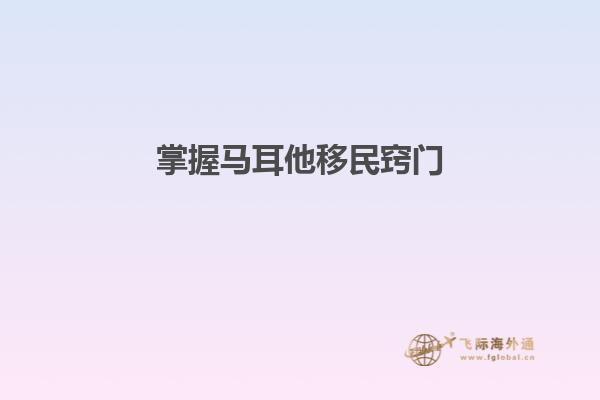 掌握马耳他移民窍门