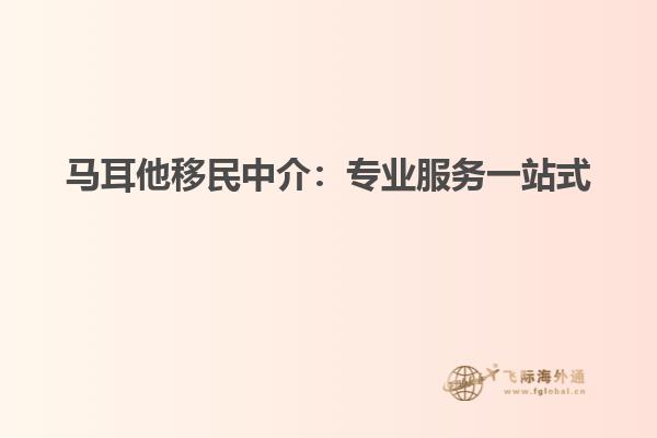 马耳他移民中介：专业服务一站式