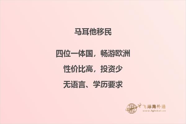 马耳他移民中介：专业服务一站式