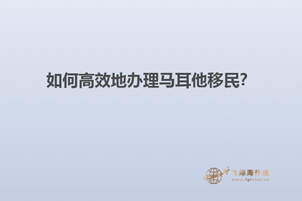 如何高效地办理马耳他移民？
