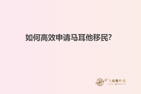 如何高效申请马耳他移民？