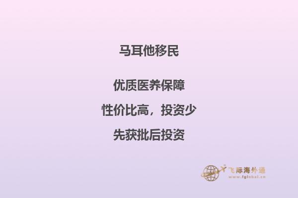 马耳他的移民条件如何？
