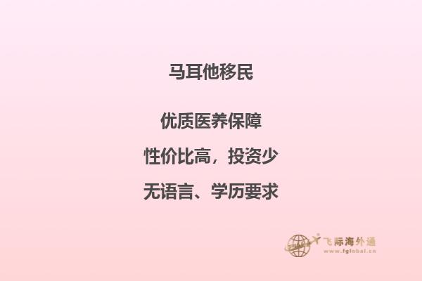 向马耳他追寻家族根源：移民寻祖之旅