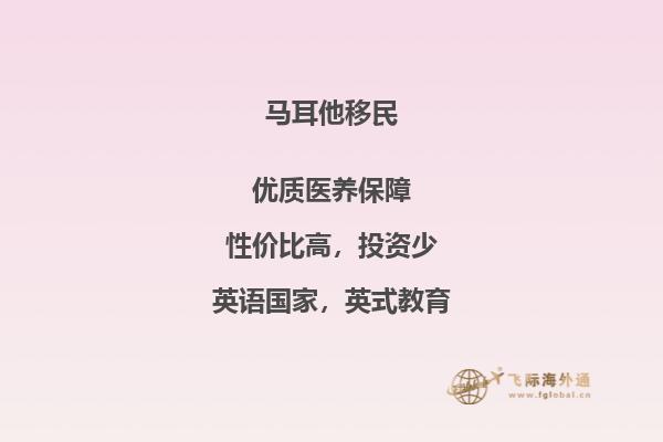 马耳他移民的主要族群特征是什么？