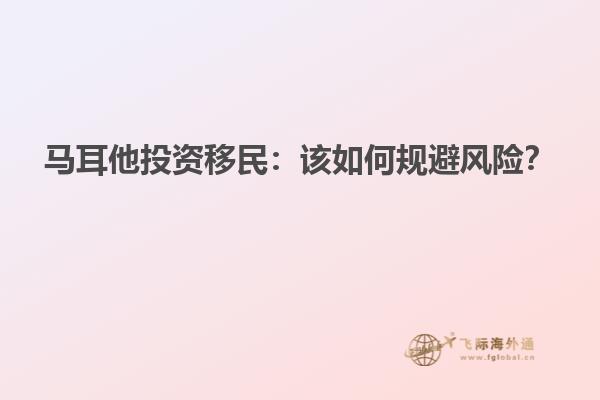 马耳他投资移民：该如何规避风险？