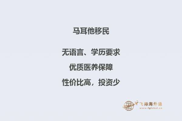 马耳他投资移民：该如何规避风险？