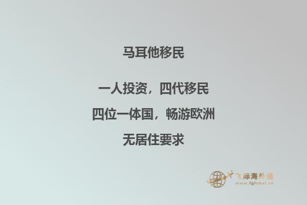马耳他移民申请条件解析