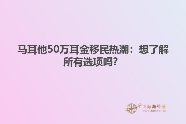 马耳他50万耳金移民热潮：想了解所有选项吗？