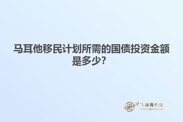 马耳他移民计划所需的国债投资金额是多少？