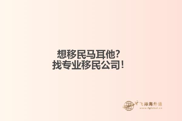 想移民马耳他？找专业移民公司！