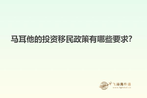 马耳他的投资移民政策有哪些要求？