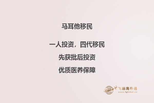 马耳他的投资移民政策有哪些要求？