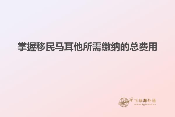 掌握移民马耳他所需缴纳的总费用