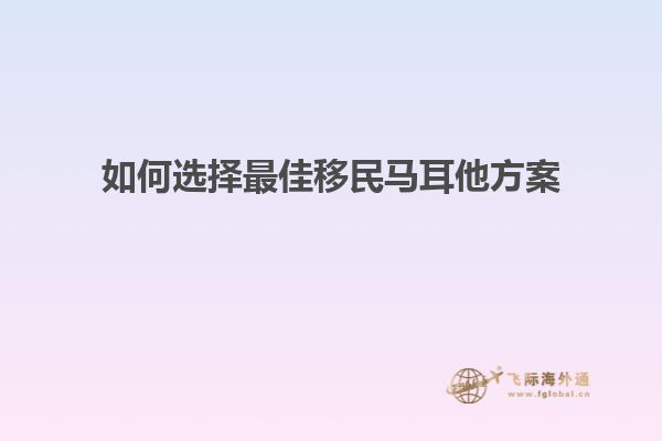 如何选择最佳移民马耳他方案