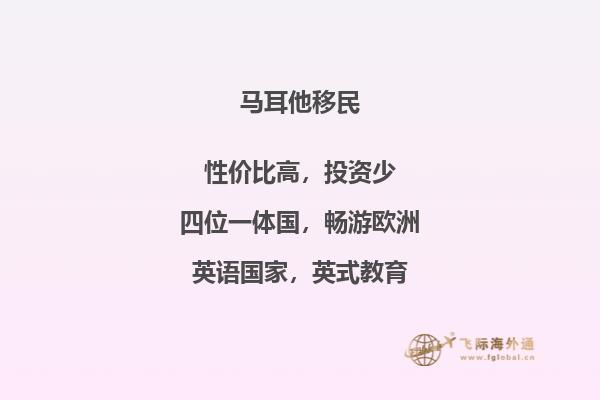 如何选择最佳移民马耳他方案