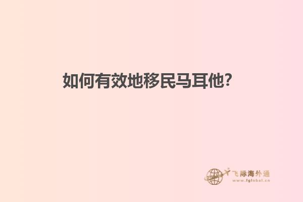 如何有效地移民马耳他？