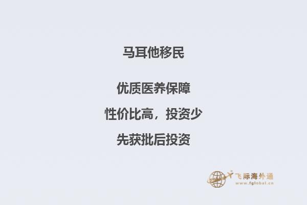 马耳他投资移民详解
