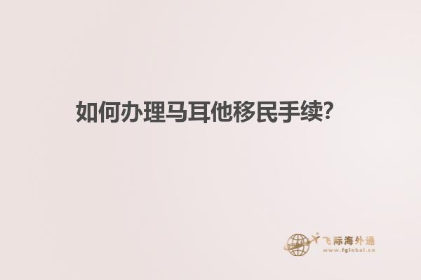 如何办理马耳他移民手续？