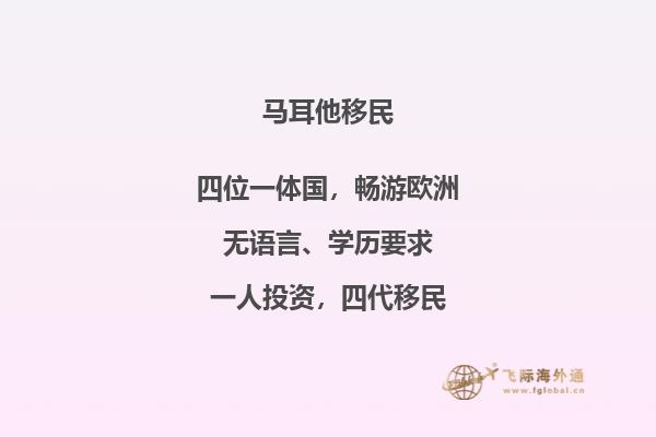 如何满足马耳他移民监的要求？