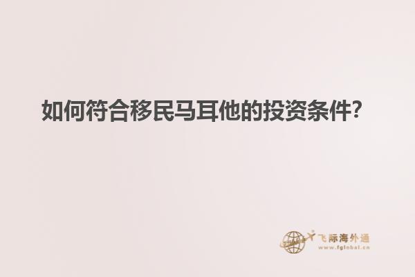如何符合移民马耳他的投资条件？