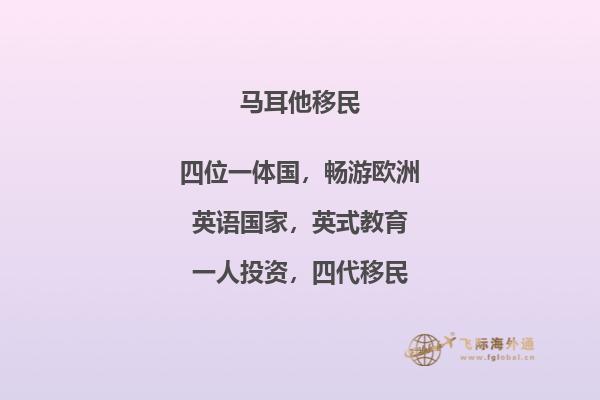 马耳他移民的费用是多少？