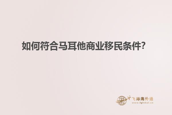 如何符合马耳他商业移民条件？
