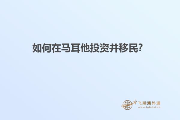 如何在马耳他投资并移民？