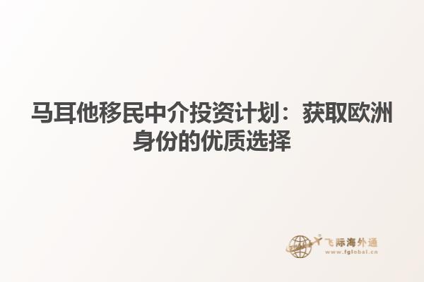 马耳他移民中介投资计划：获取欧洲身份的优质选择