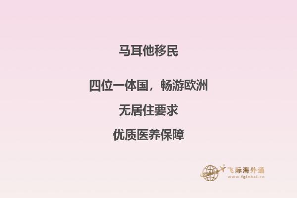 申请马耳他移民的资格要求是什么？