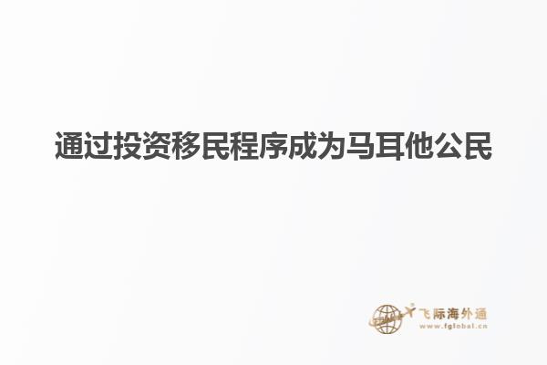 通过投资移民程序成为马耳他公民