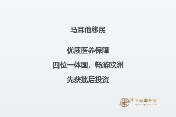通过投资移民程序成为马耳他公民