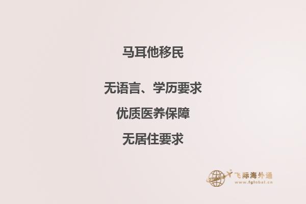 马耳他投资移民政策解析：条件，申请流程等
