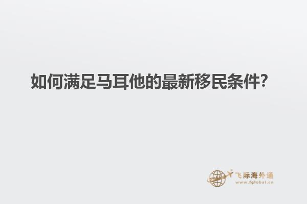 如何满足马耳他的最新移民条件？