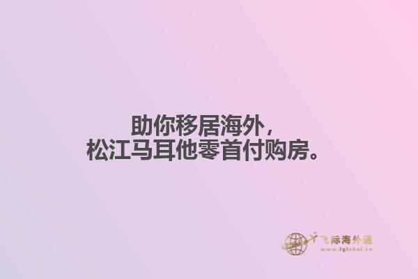 助你移居海外，松江马耳他零首付购房。