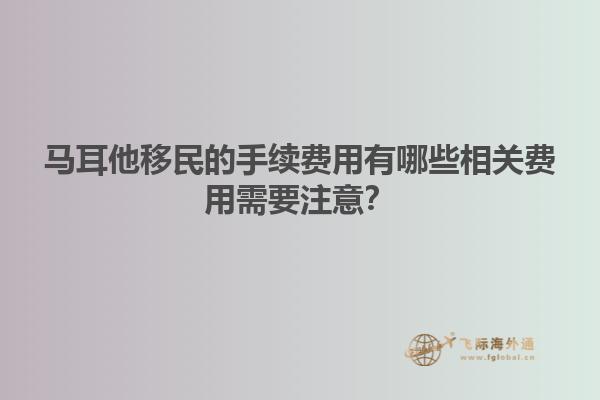 马耳他移民的手续费用有哪些相关费用需要注意？